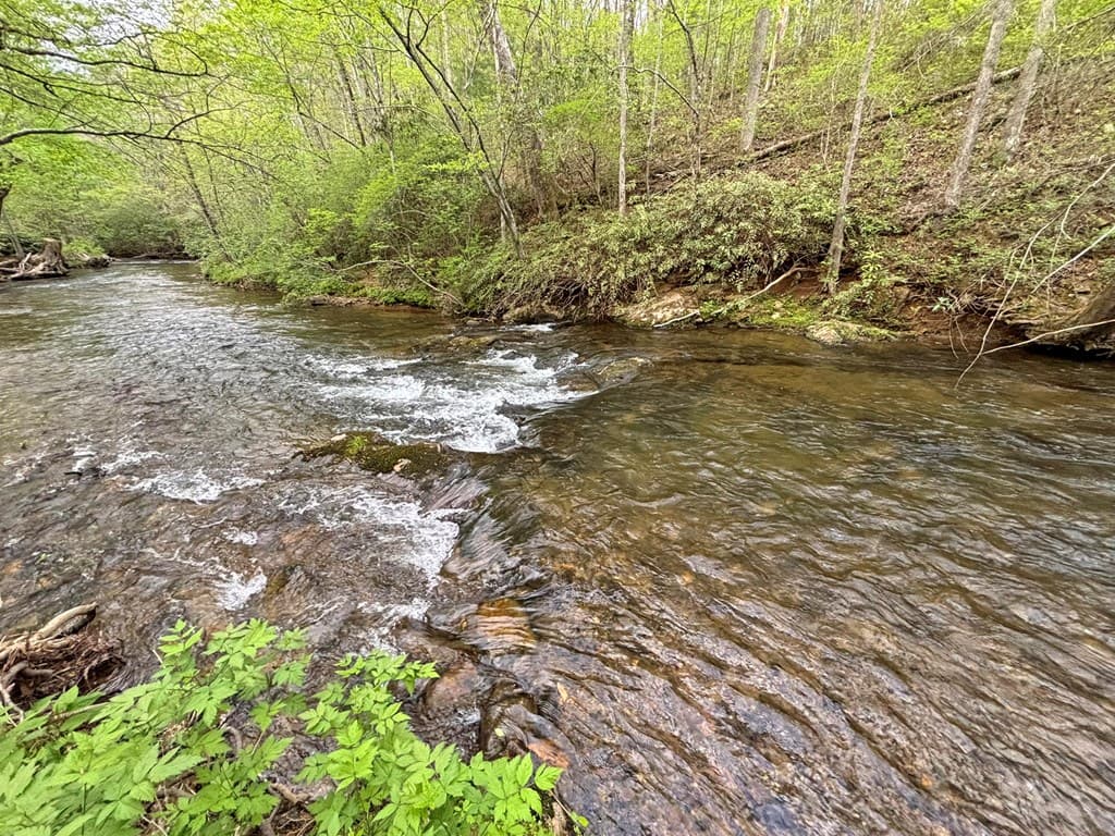 Lot 5 Spiva Cove, Blairsville GA 30512 - Photo