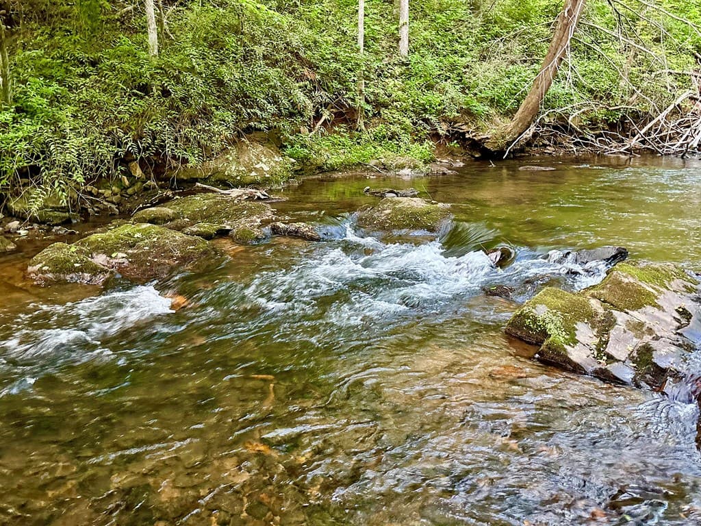Lot 5 Spiva Cove, Blairsville GA 30512 - Photo