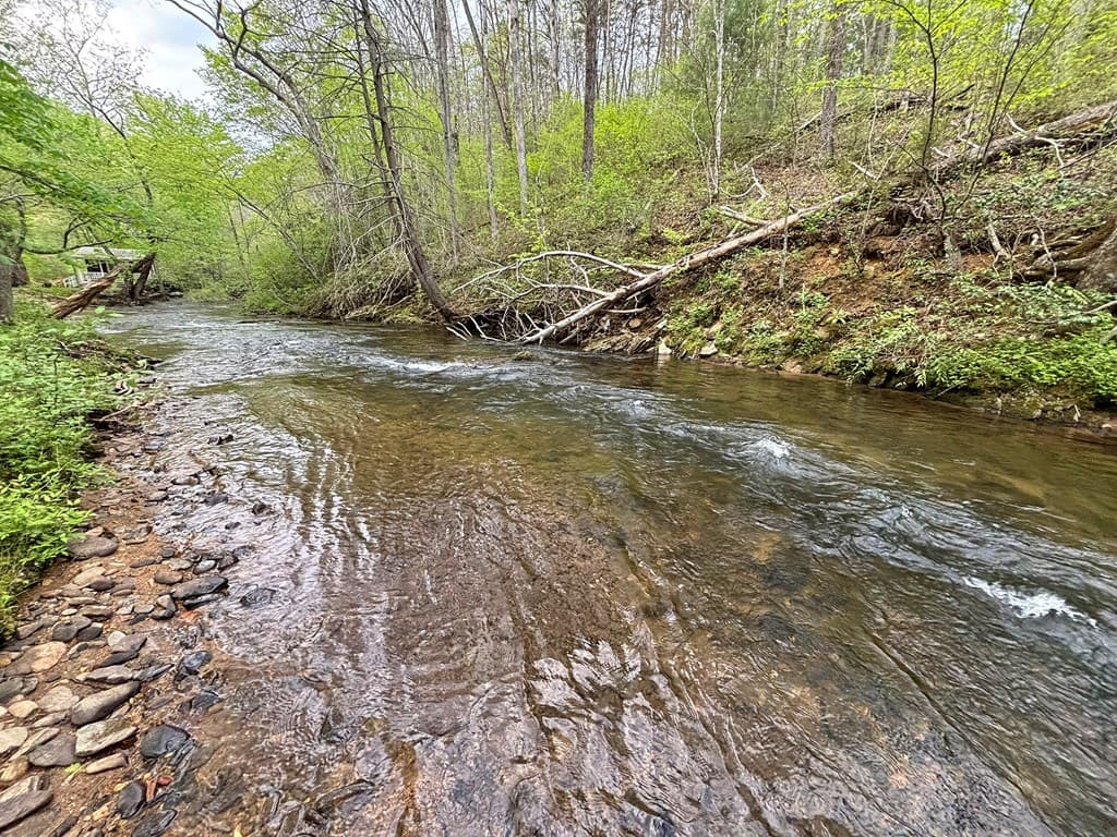 Lot 5 Spiva Cove, Blairsville GA 30512 - Photo