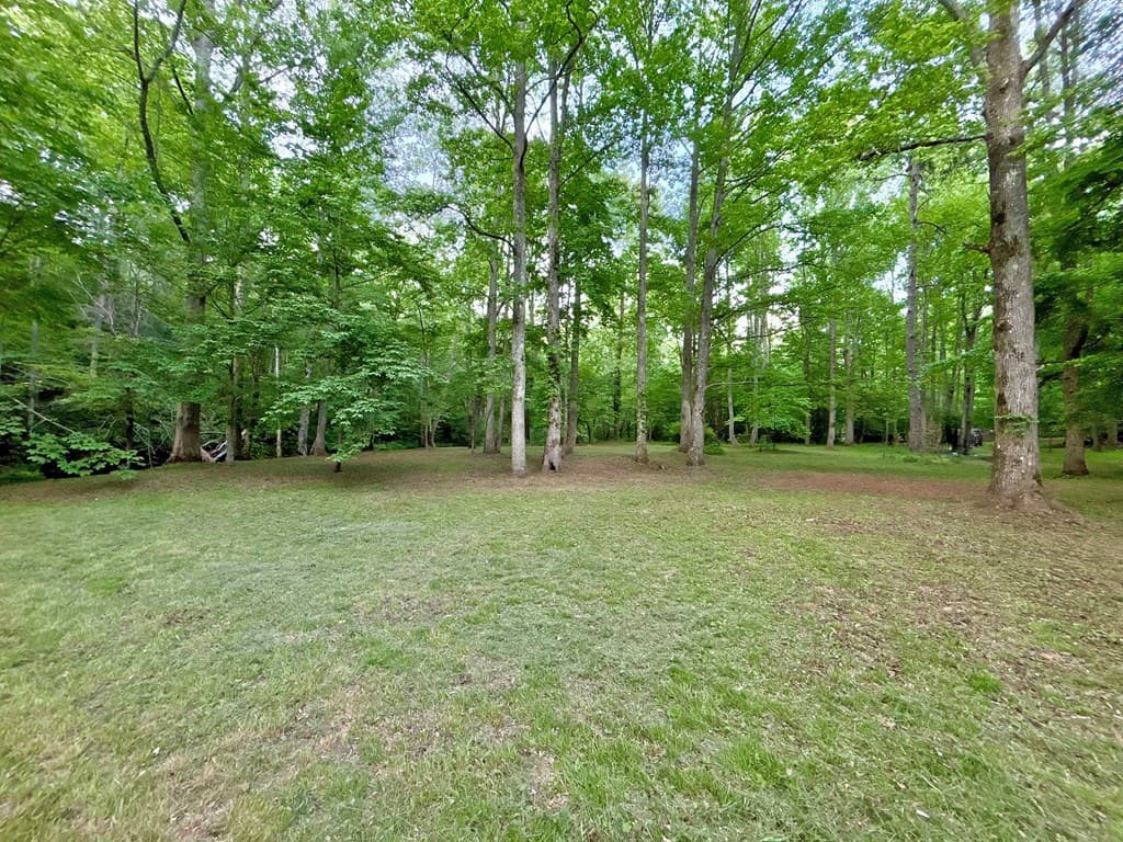 Lot 5 Spiva Cove, Blairsville GA 30512 - Photo