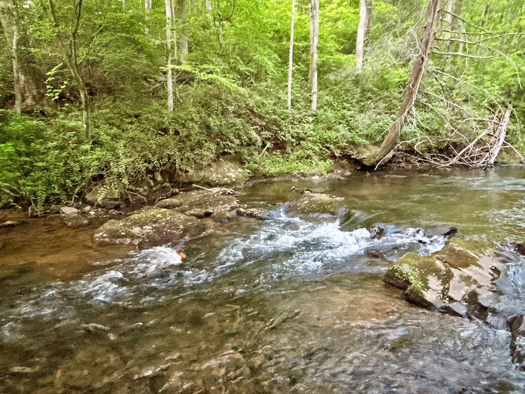 Lot 5 Spiva Cove, Blairsville GA 30512 - Photo