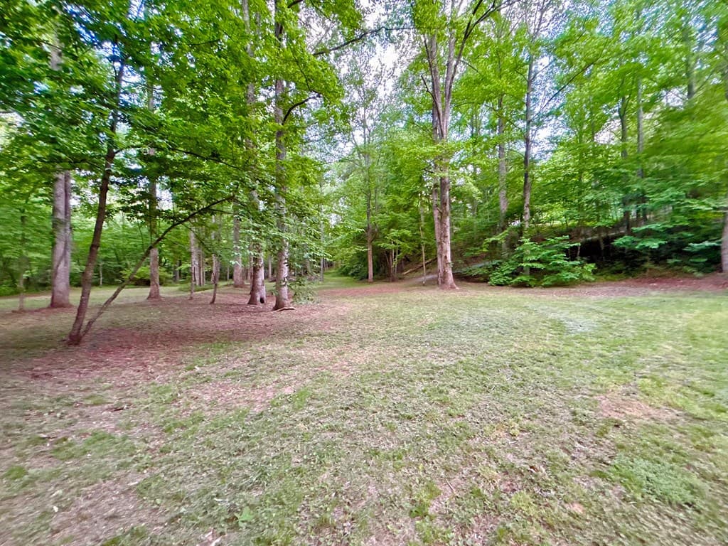 Lot 5 Spiva Cove, Blairsville GA 30512 - Photo