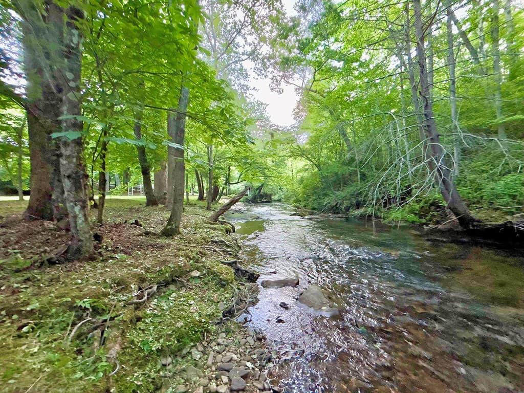Lot 5 Spiva Cove, Blairsville GA 30512 - Photo