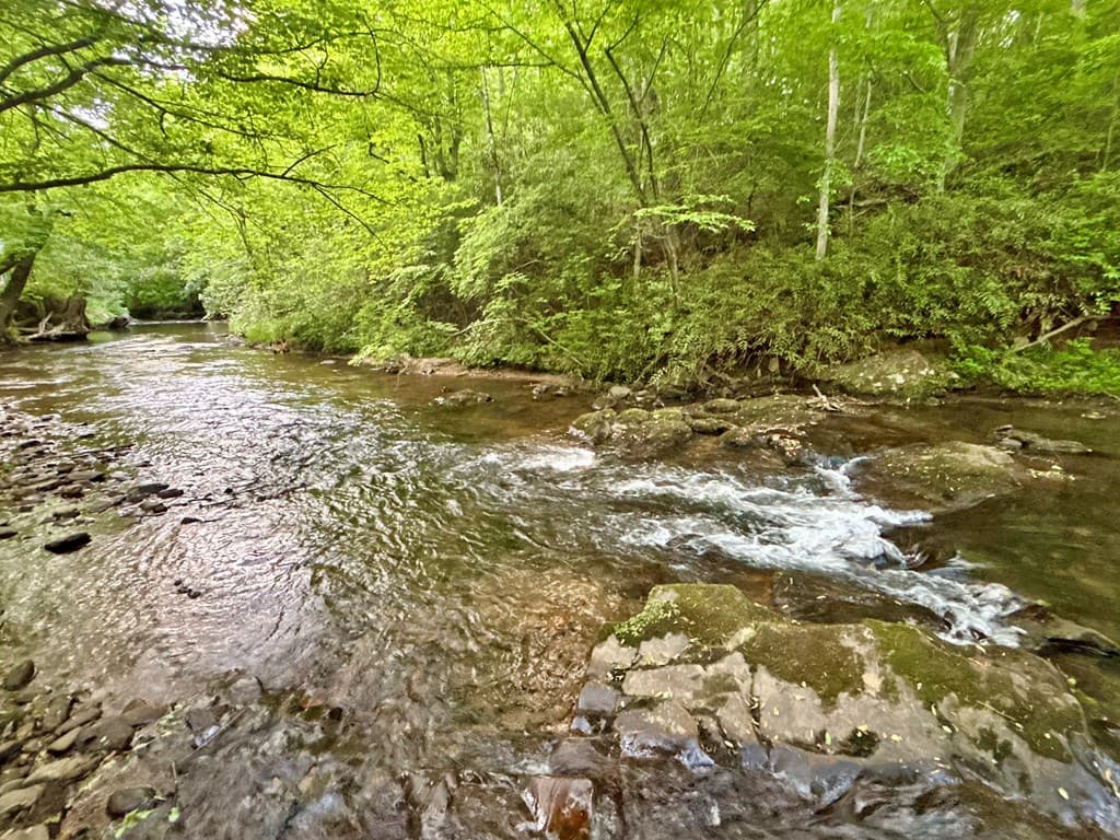 Lot 5 Spiva Cove, Blairsville GA 30512 - Photo