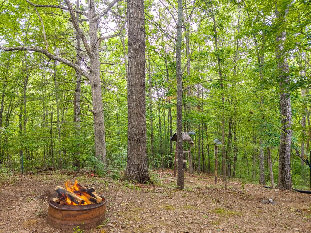 114 Arapaho Walk, Mineral Bluff GA 30559 - Photo