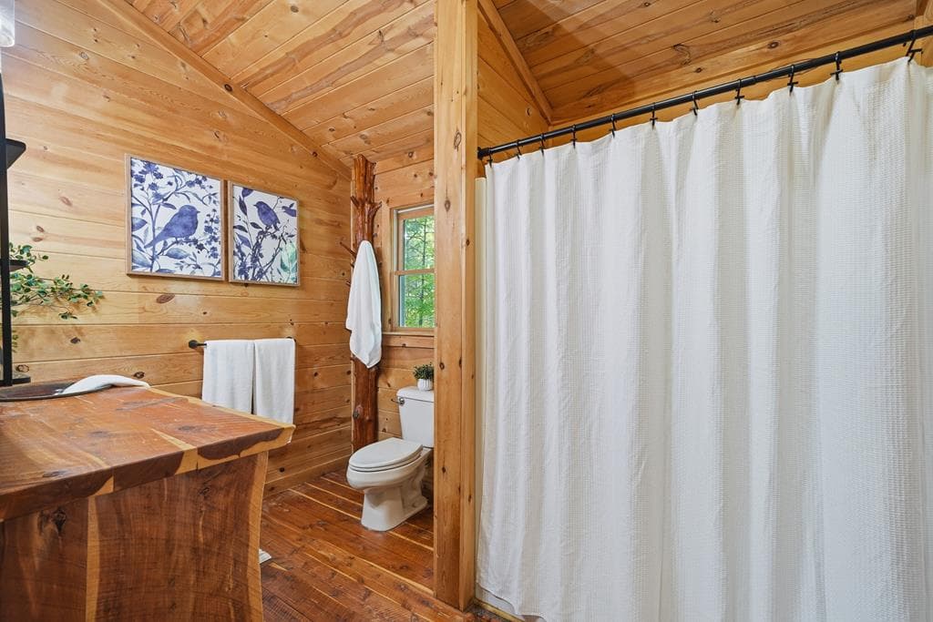 114 Arapaho Walk, Mineral Bluff GA 30559 - Photo