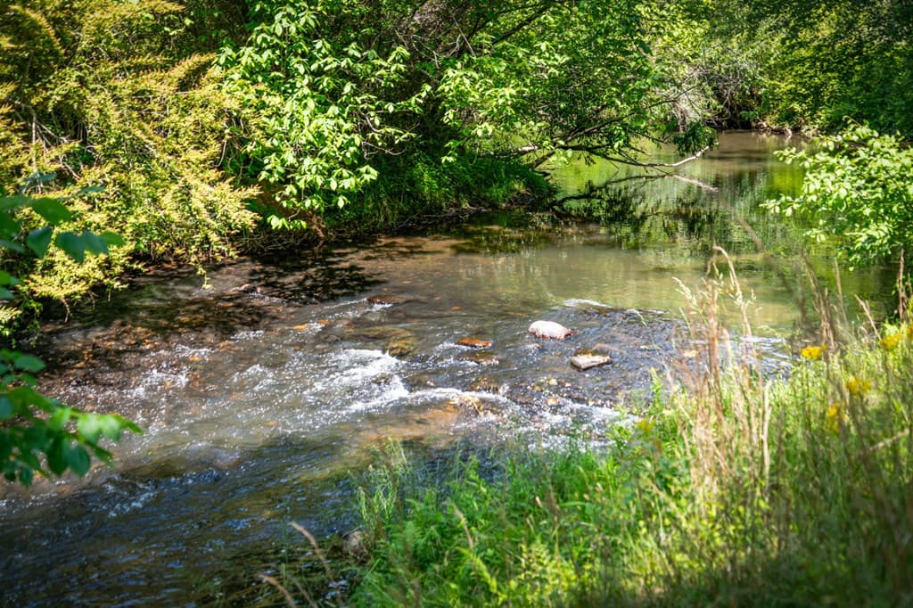 279 River Escape Drive, Ellijay GA 30540 - Photo