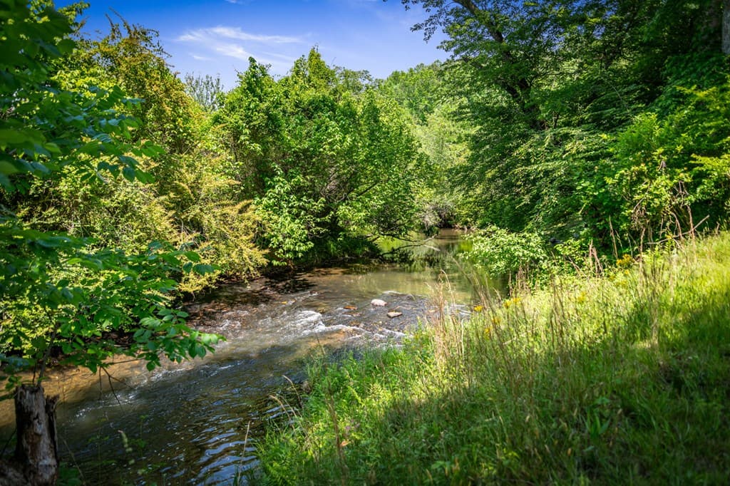 279 River Escape Drive, Ellijay GA 30540 - Photo