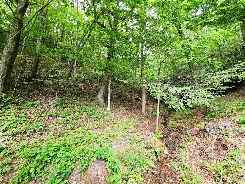 45 Sulpher Ln, Andrews NC 28901 - Photo