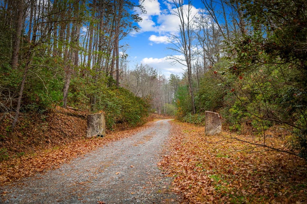 5.97 AC Bullen Gap Road, Blue Ridge GA 30513 - Photo