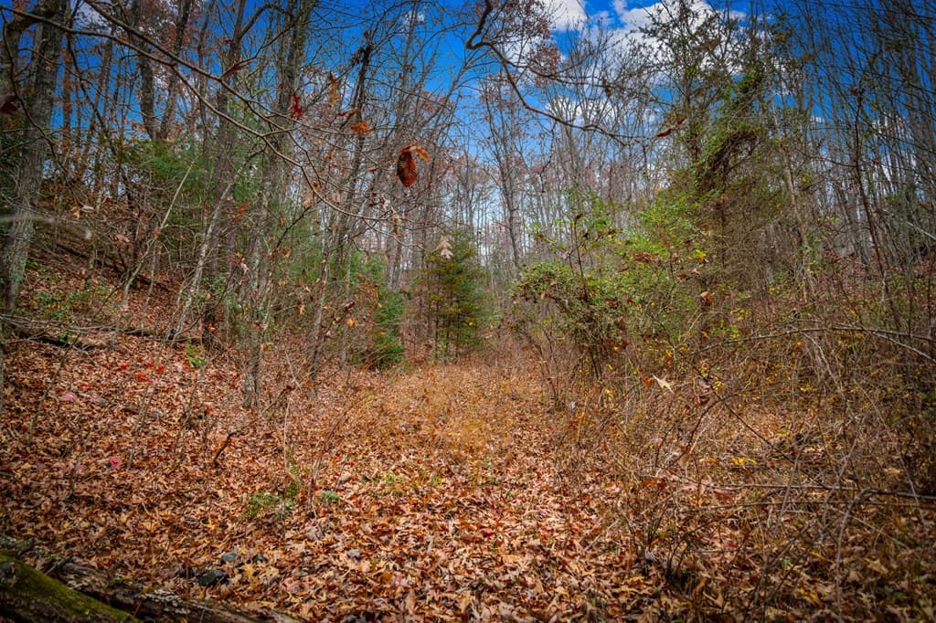 5.97 AC Bullen Gap Road, Blue Ridge GA 30513 - Photo