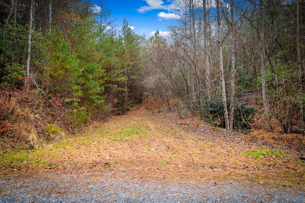 5.97 AC Bullen Gap Road, Blue Ridge GA 30513 - Photo