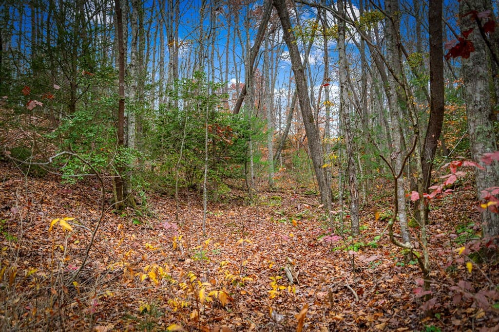 5.97 AC Bullen Gap Road, Blue Ridge GA 30513 - Photo