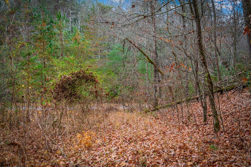 5.97 AC Bullen Gap Road, Blue Ridge GA 30513 - Photo