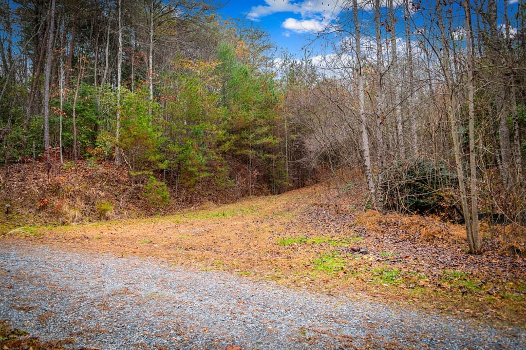 5.97 AC Bullen Gap Road, Blue Ridge GA 30513 - Photo