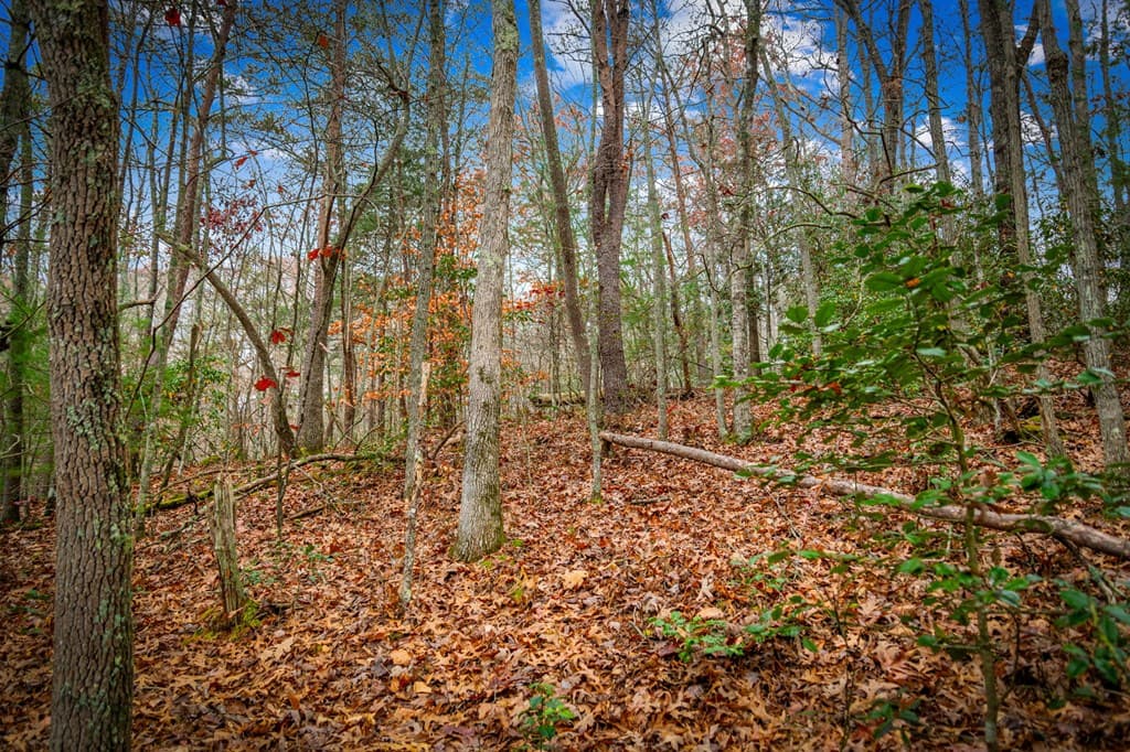 208 Bullen Gap Road, Blue Ridge GA 30513 - Photo