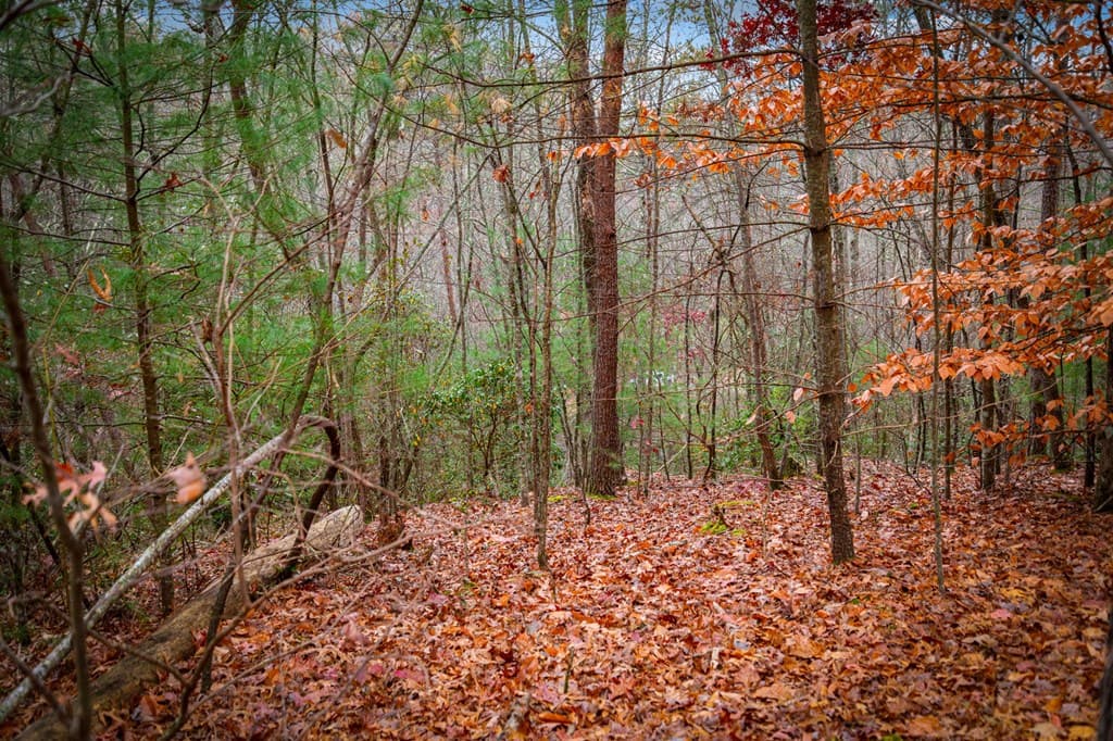 208 Bullen Gap Road, Blue Ridge GA 30513 - Photo