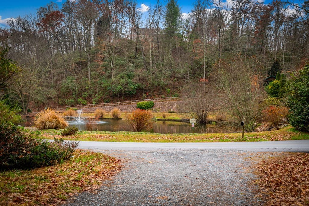 208 Bullen Gap Road, Blue Ridge GA 30513 - Photo