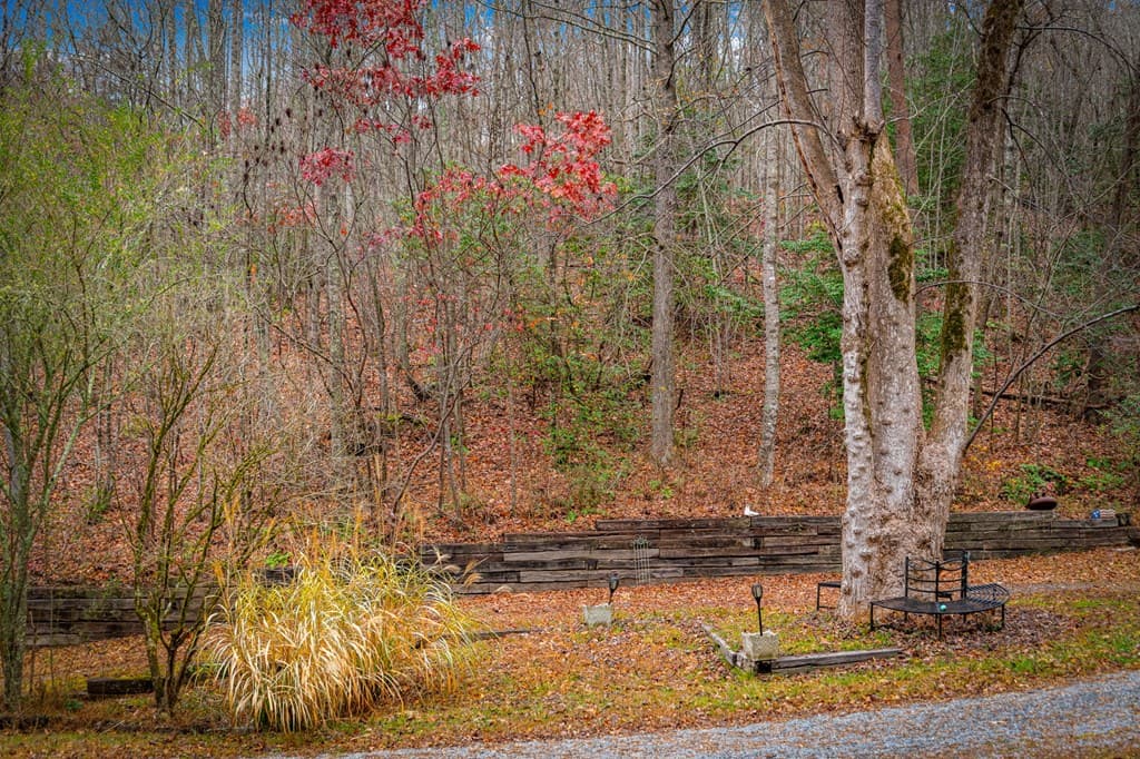 208 Bullen Gap Road, Blue Ridge GA 30513 - Photo