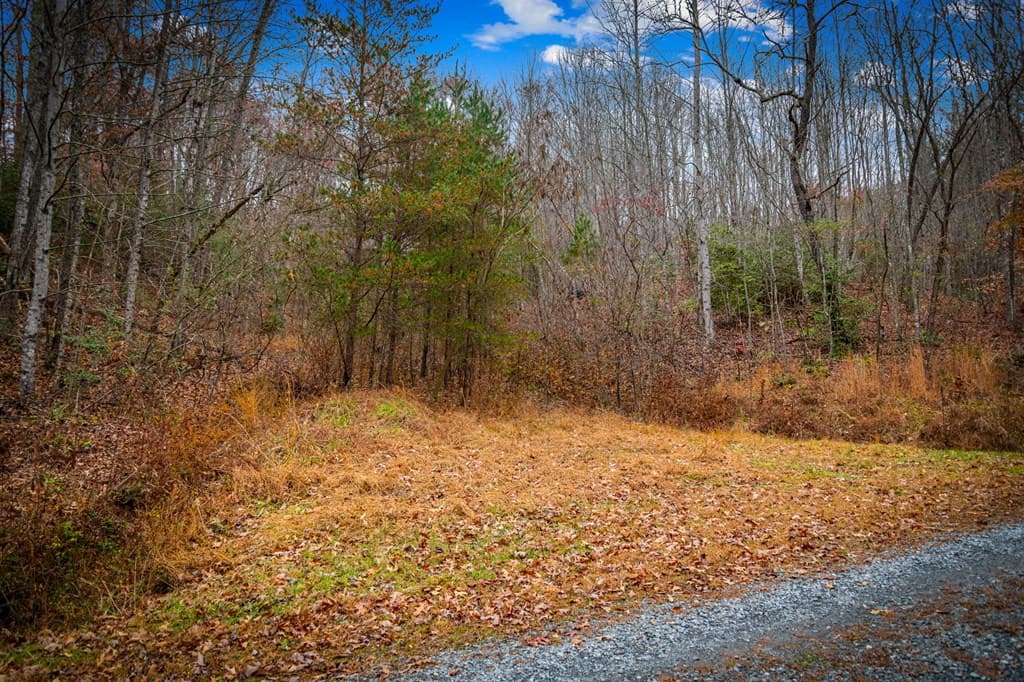 208 Bullen Gap Road, Blue Ridge GA 30513 - Photo
