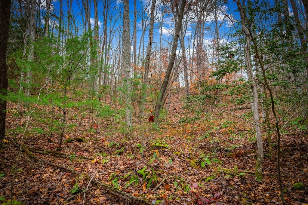 208 Bullen Gap Road, Blue Ridge GA 30513 - Photo
