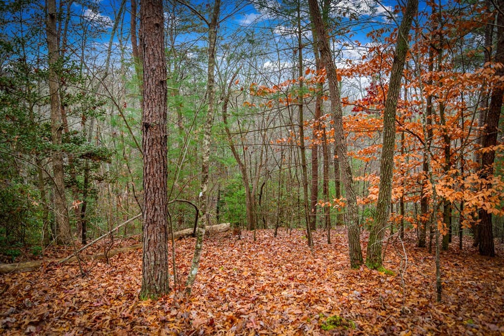 208 Bullen Gap Road, Blue Ridge GA 30513 - Photo