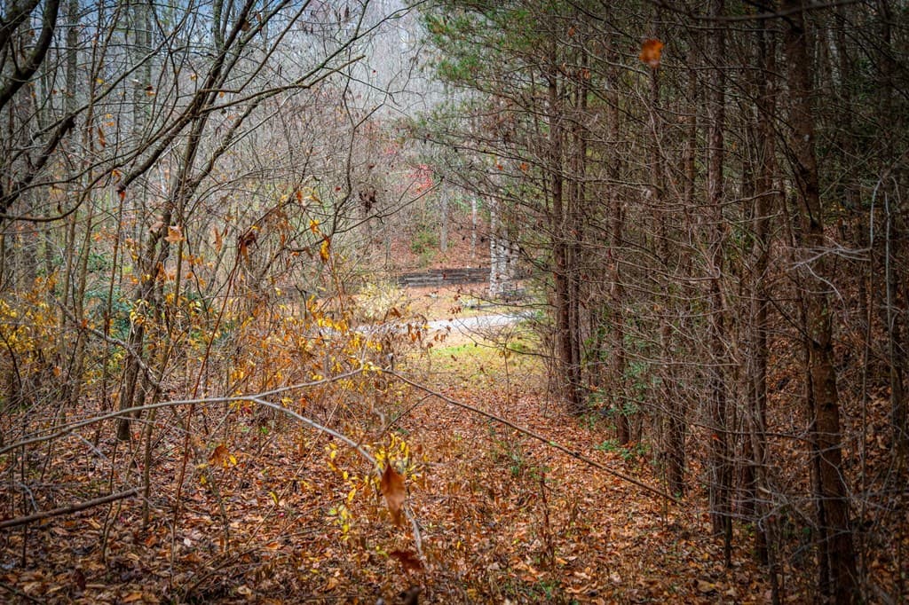 208 Bullen Gap Road, Blue Ridge GA 30513 - Photo