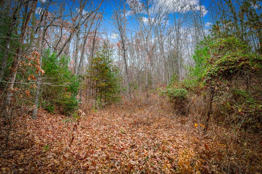 208 Bullen Gap Road, Blue Ridge GA 30513 - Photo