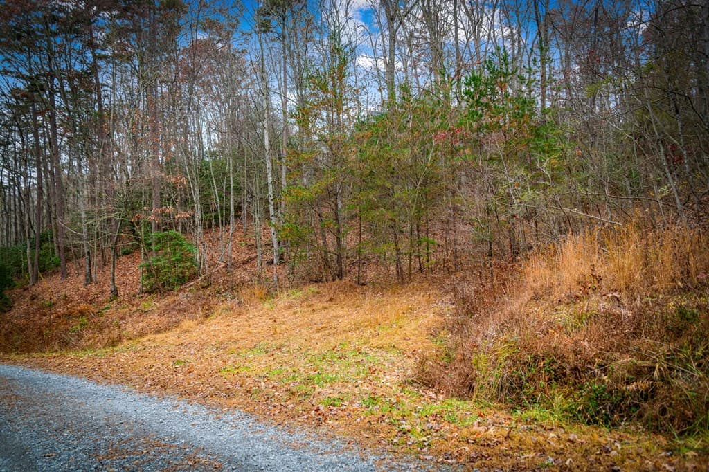 208 Bullen Gap Road, Blue Ridge GA 30513 - Photo