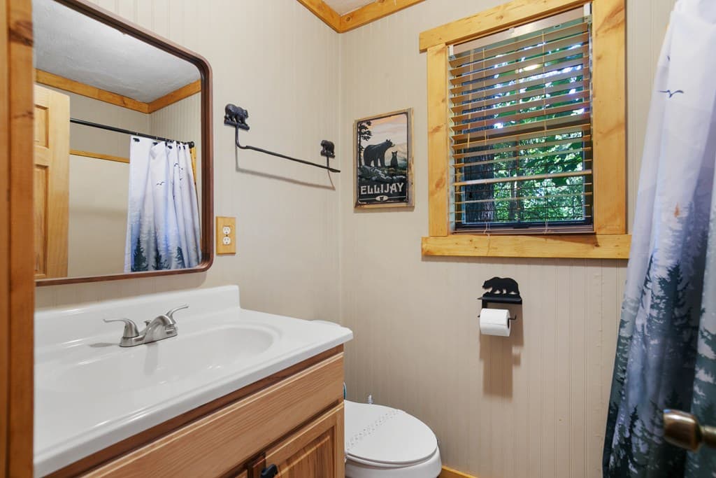 488 S Lemmon Lane, Ellijay GA 30540 - Photo