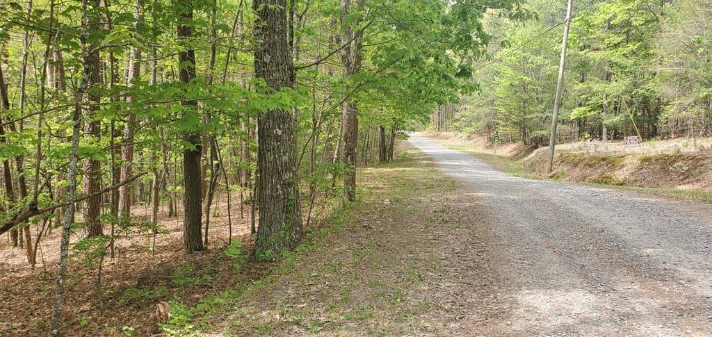 36 & 38 Squirrel Hunting, Ellijay GA 30536 - Photo