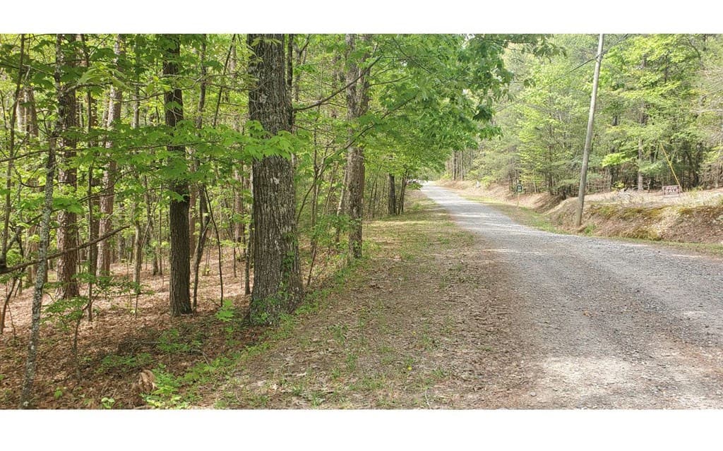 36 & 38 Squirrel Hunting, Ellijay GA 30536 - Photo