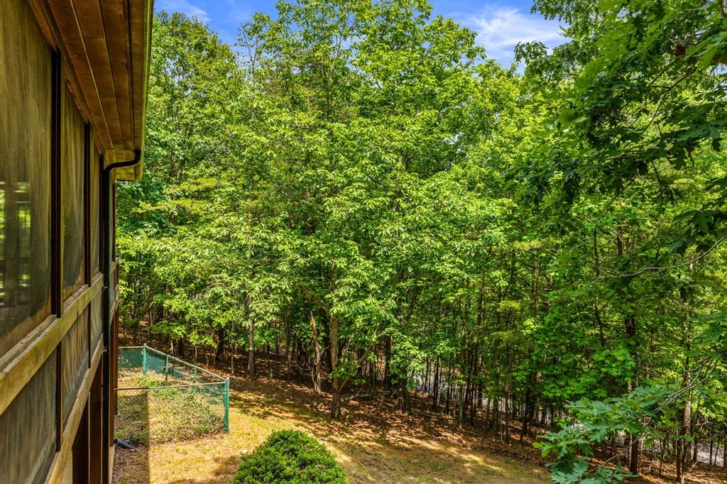 220 Blue Ridge Trails, Morganton GA 30560 - Photo