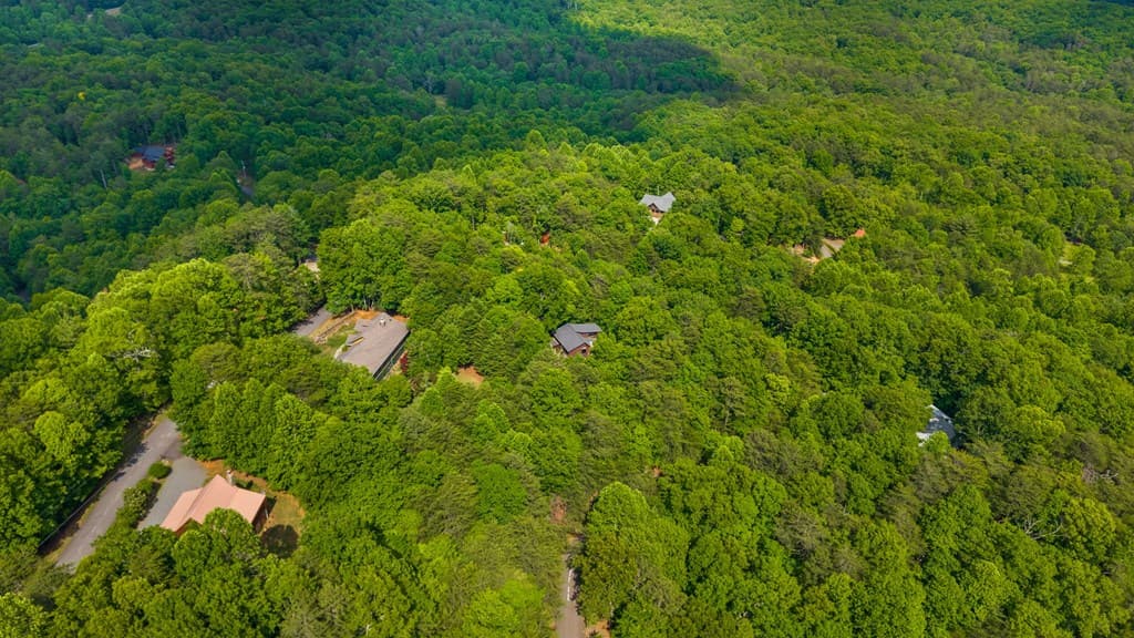 220 Blue Ridge Trails, Morganton GA 30560 - Photo
