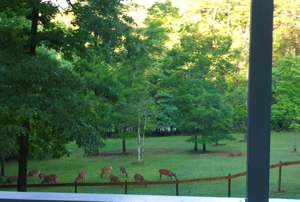 28 Rothgeb Ridge Road, Blairsville GA 30512 - Photo