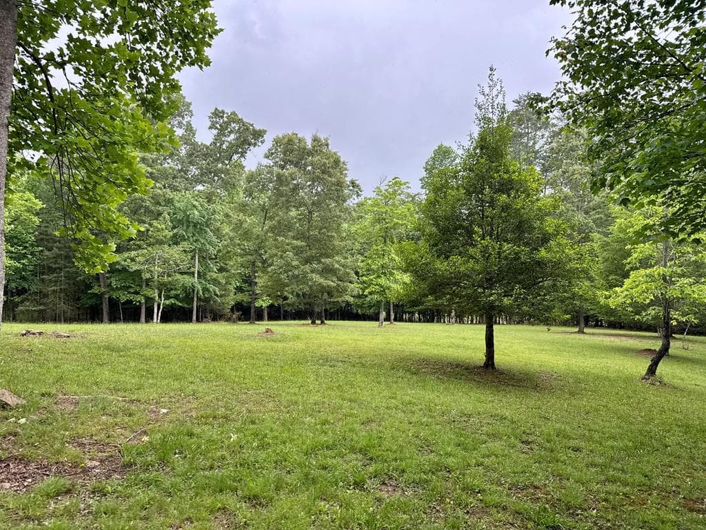 28 Rothgeb Ridge Road, Blairsville GA 30512 - Photo
