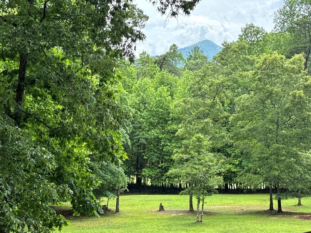 28 Rothgeb Ridge Road, Blairsville GA 30512 - Photo