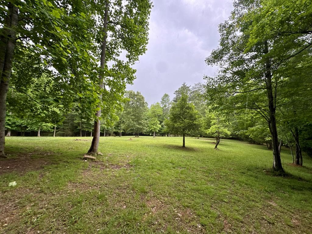 28 Rothgeb Ridge Road, Blairsville GA 30512 - Photo