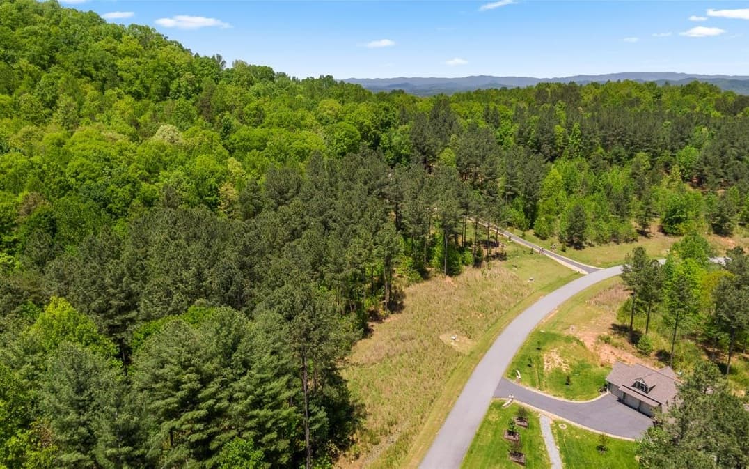 LT158 Stables Loop, Blairsville GA 30512 - Photo