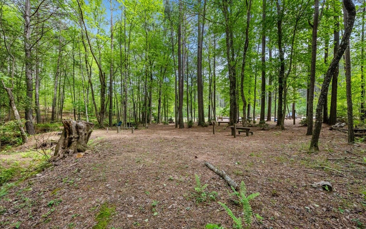LT158 Stables Loop, Blairsville GA 30512 - Photo