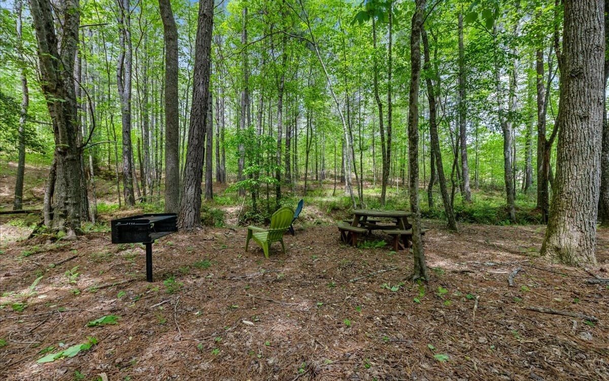 LT158 Stables Loop, Blairsville GA 30512 - Photo