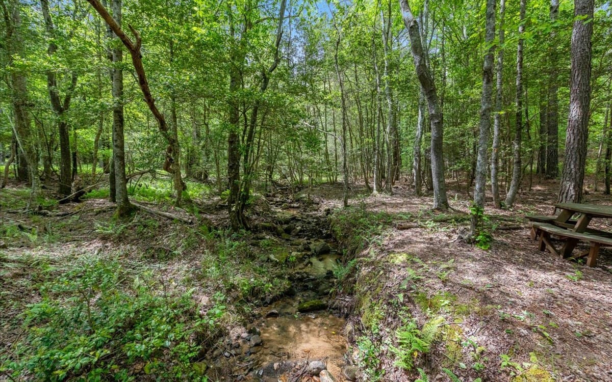 LT158 Stables Loop, Blairsville GA 30512 - Photo