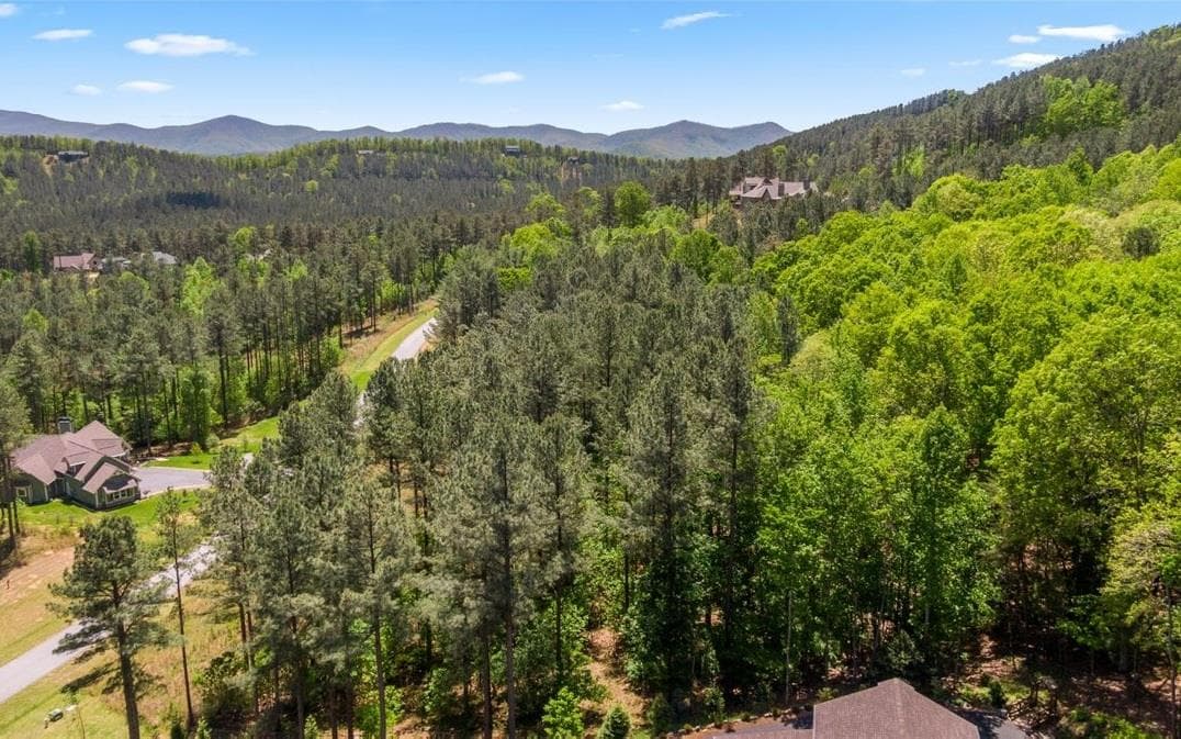 LT158 Stables Loop, Blairsville GA 30512 - Photo