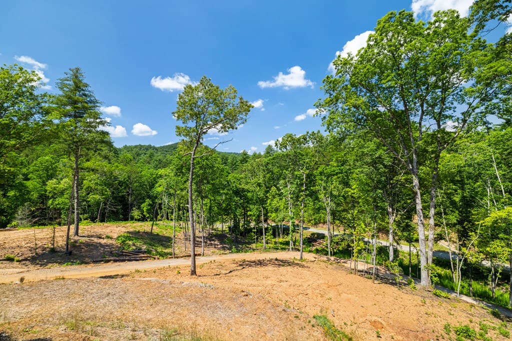 265 Park Glen Lane, Mineral Bluff GA 30559 - Photo