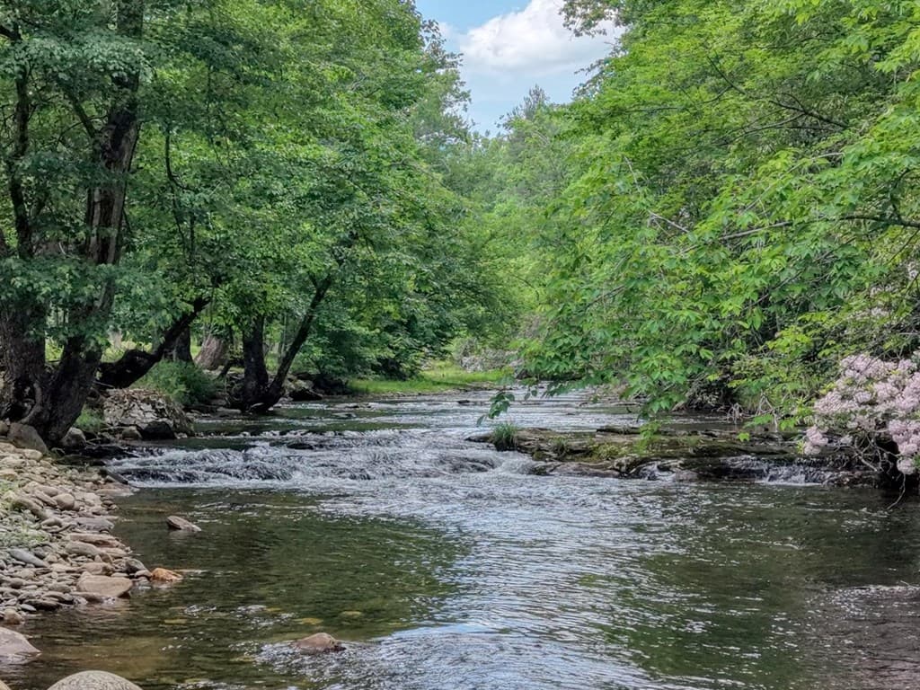 515 Barlow Fields Drive, Hayesville NC 28904 - Photo
