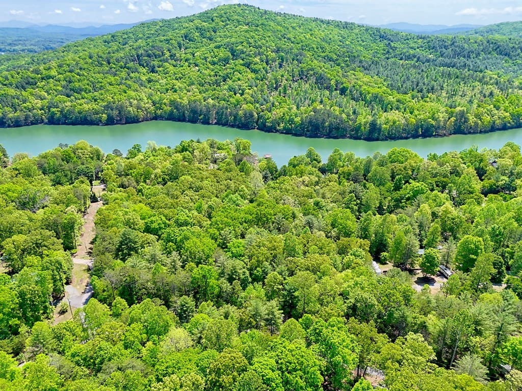 Lots 3&5 Cozy Cove Road, Blairsville GA 30512 - Photo