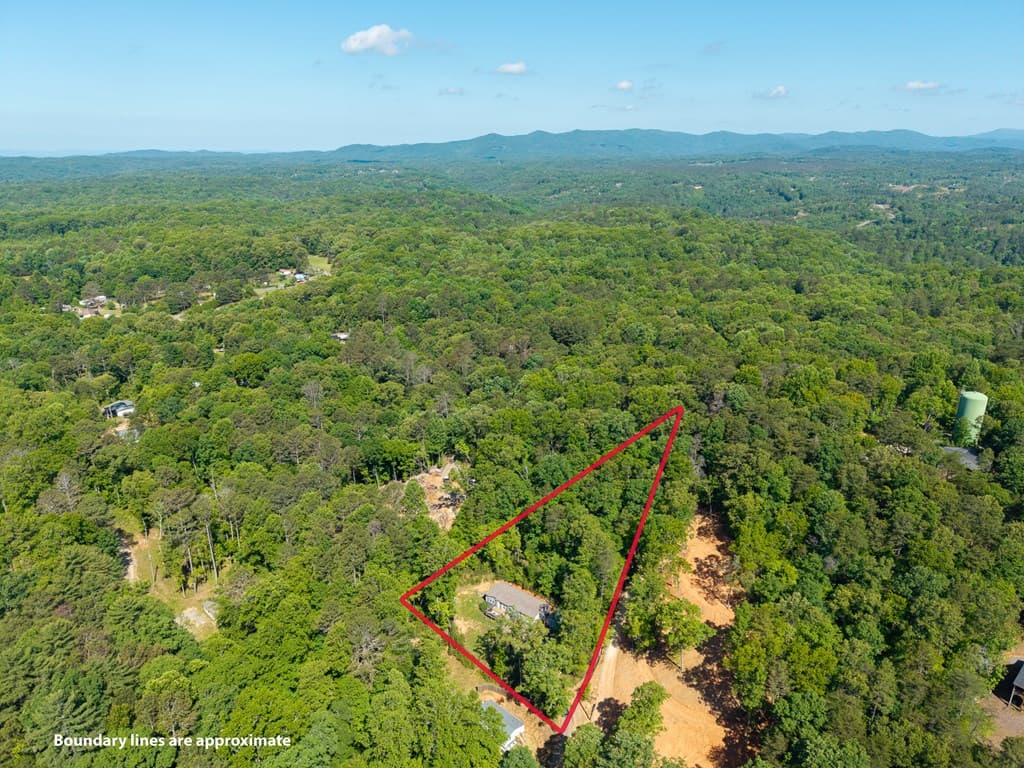 303 Rose Wood Lane, Ellijay GA 30540 - Photo