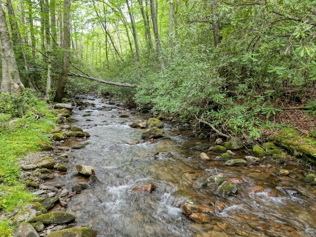 180 Dream Catcher Cove, Hayesville NC 28904 - Photo