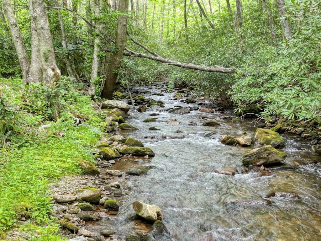 180 Dream Catcher Cove, Hayesville NC 28904 - Photo