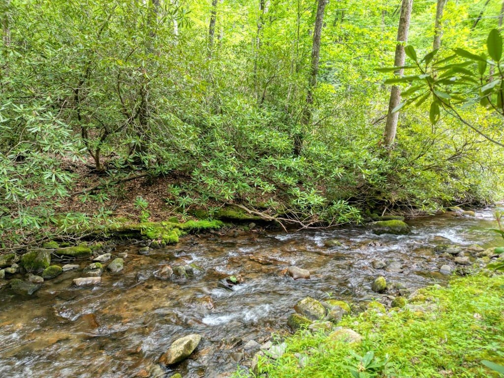180 Dream Catcher Cove, Hayesville NC 28904 - Photo
